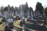 Wielkopostny dzie� skupienia w Niepokalanowie - 14 marca 2026 r., fot. Andrzej Wnuk