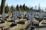 Wielkopostny dzie� skupienia w Niepokalanowie - 14 marca 2026 r., fot. Andrzej Wnuk